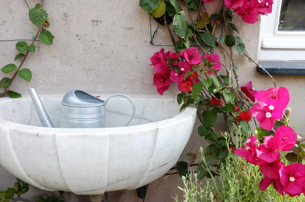 La Terrazza Di Vico Olivi B&B Ventimiglia Zewnętrze zdjęcie